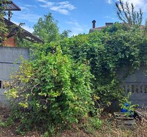 Дом 35м&sup2;, 1-этажный, участок 2 сот.  