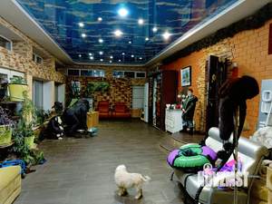 Дом 156м&sup2;, 1-этажный, участок 6 сот.  