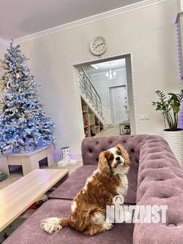 Дом 140м&sup2;, 2-этажный, участок 2 сот.  