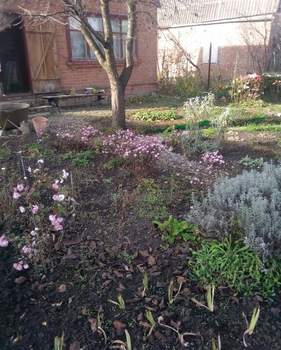 Дом 39м&sup2;, 2-этажный, участок 4 сот.  