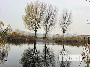 Дом 145м², 2-этажный, участок 4 сот.  