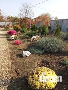 Дом 100м&sup2;, 1-этажный, участок 10 сот.  