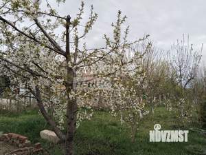 Дом 35м&sup2;, 1-этажный, участок 6 сот.  