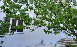 Дом 225м², 2-этажный, участок 4 сот.  