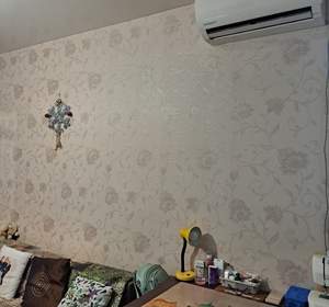 Дом 35м&sup2;, 1-этажный, участок 2 сот.  