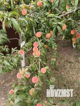 Коттедж 178м&sup2;, 2-этажный, участок 8 сот.  