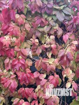 Дом 120м&sup2;, 2-этажный, участок 4 сот.  