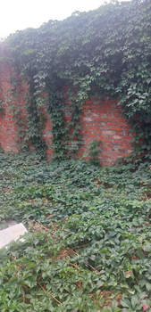 Дом 45м², 1-этажный, участок 3 сот.  