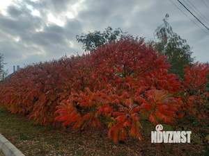 Дом 185м², 2-этажный, участок 6 сот.  