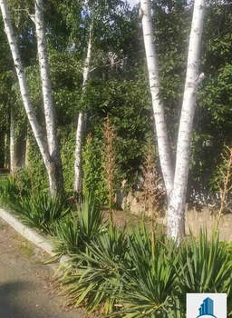 Дом 567м&sup2;, 3-этажный, участок 8 сот.  