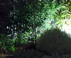 Дом 170м&sup2;, 2-этажный, участок 5 сот.  