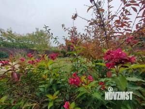 Дом 136м&sup2;, 2-этажный, участок 6 сот.  