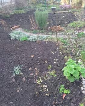 Дом 39м&sup2;, 2-этажный, участок 4 сот.  