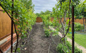 Дом 147м&sup2;, 2-этажный, участок 6 сот.  