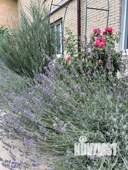 Таунхаус 61м², 2-этажный, участок 1 сот.  