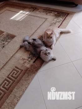 Дом 150м², 2-этажный, участок 5 сот.  