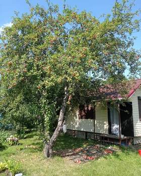 Дом 20м&sup2;, 1-этажный, участок 6 сот.  