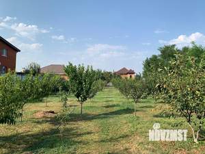 Дом 66м&sup2;, 1-этажный, участок 23 сот.  