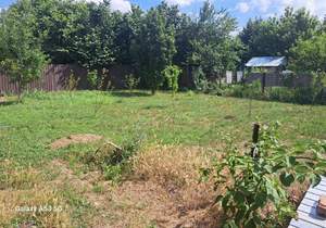 Дом 50м&sup2;, 1-этажный, участок 6 сот.  