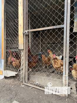 Дом 73м&sup2;, 1-этажный, участок 6 сот.  