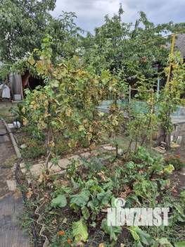 Дом 174м², 1-этажный, участок 10 сот.  