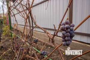 Дом 111м&sup2;, 2-этажный, участок 4 сот.  