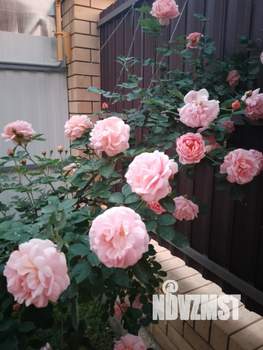 Дом 128м&sup2;, 2-этажный, участок 6 сот.  