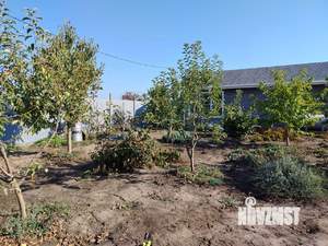 Дом 77м², 1-этажный, участок 5 сот.  