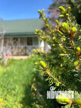 Дом 117м&sup2;, 2-этажный, участок 5 сот.  