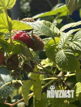 Дом 21м&sup2;, 2-этажный, участок 4 сот.  