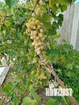 Дом 88м&sup2;, 2-этажный, участок 8 сот.  