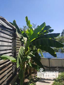 Дом 100м&sup2;, 1-этажный, участок 6 сот.  