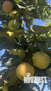 Таунхаус 133м&sup2;, 2-этажный, участок 3 сот.  