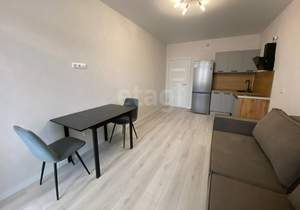 Студия квартира, на длительный срок, 28м2, 14/20 этаж