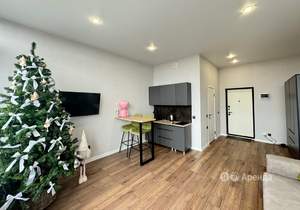 Студия квартира, на длительный срок, 27м2, 15/16 этаж