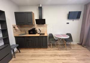 Студия квартира, на длительный срок, 24м2, 3/16 этаж