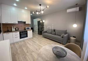 Студия квартира, на длительный срок, 27м2, 2/22 этаж