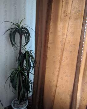 1-к квартира, на длительный срок, 35м2, 10/10 этаж