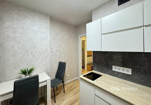 1-к квартира, на длительный срок, 24м2, 1/19 этаж