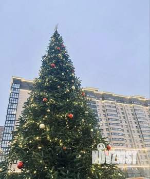 Студия квартира, на длительный срок, 23м2, 4/24 этаж