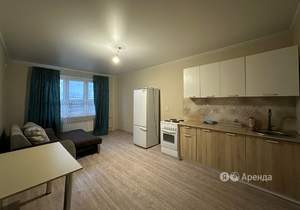 1-к квартира, на длительный срок, 42м2, 2/16 этаж