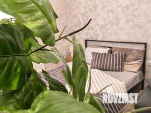 Студия квартира, посуточно, 26м2, 1/17 этаж