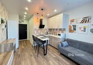 Студия квартира, на длительный срок, 25м2, 8/16 этаж