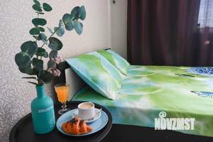 1-к квартира, посуточно, 25м2, 1/1 этаж