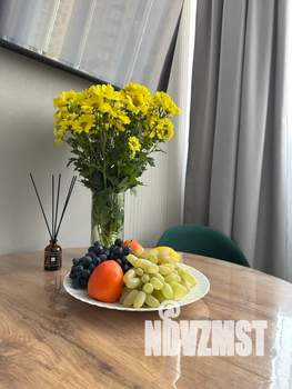 Студия квартира, посуточно, 20м2, 11/24 этаж