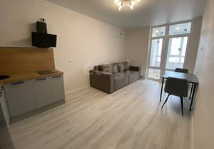 Студия квартира, на длительный срок, 28м2, 14/20 этаж