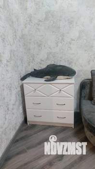 Студия квартира, на длительный срок, 23м2, 4/24 этаж