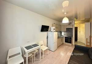 Студия квартира, на длительный срок, 25м2, 4/16 этаж