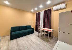 Студия квартира, на длительный срок, 23м2, 9/24 этаж