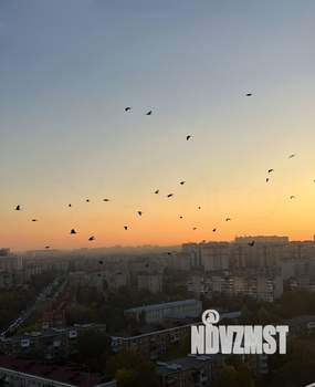 1-к квартира, на длительный срок, 50м2, 19/19 этаж